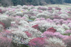 大自然での体験