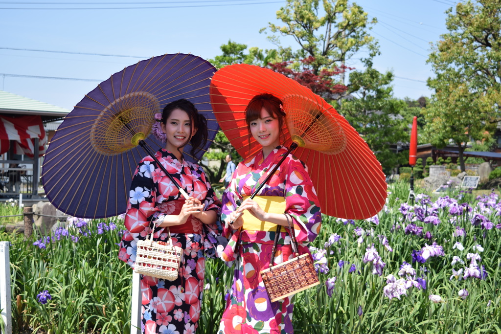 爽やかな陽射し
