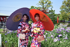 爽やかな陽射し