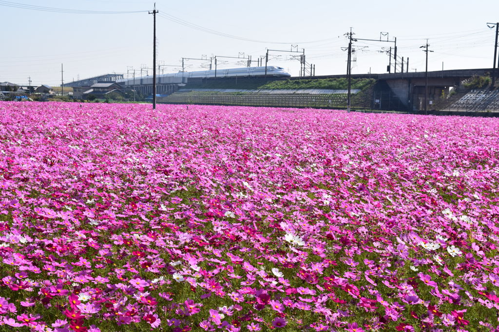 それぞれに