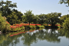 お彼岸