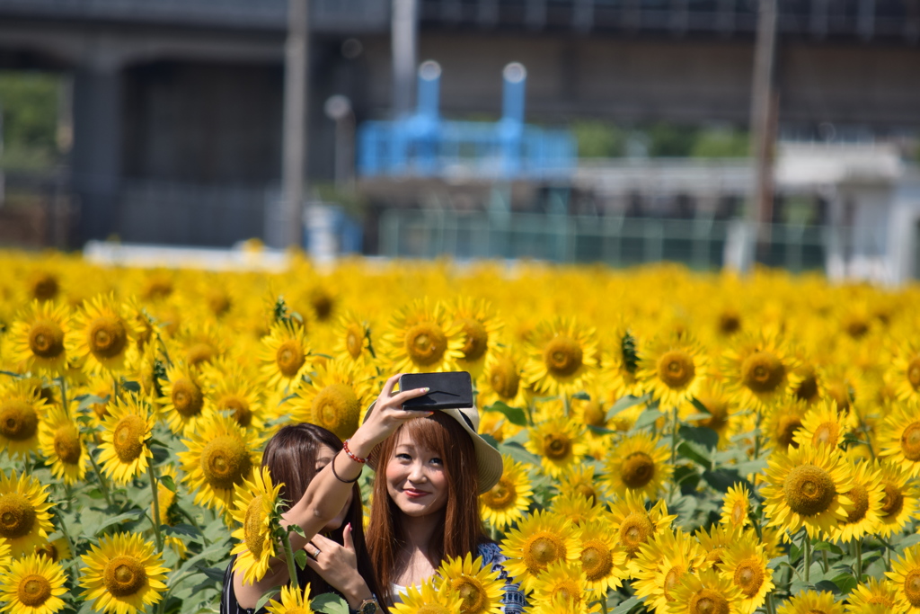 めっちゃきれい～