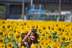 めっちゃきれい～