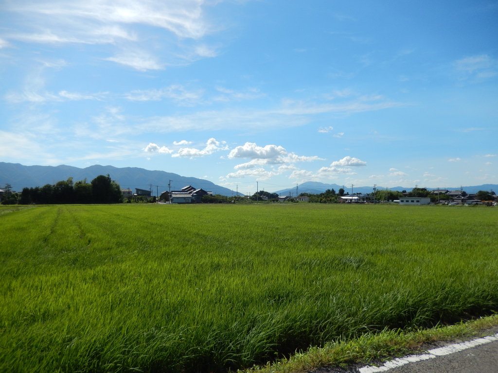 午後の空