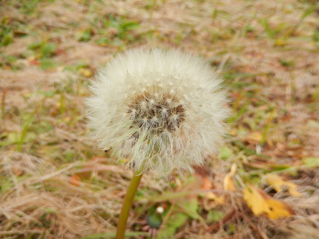 存在