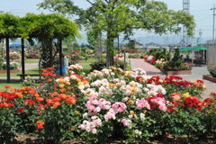 すべきことが見えてくる