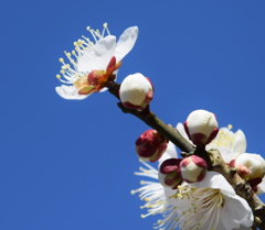 モテナイことを自覚した休日（笑