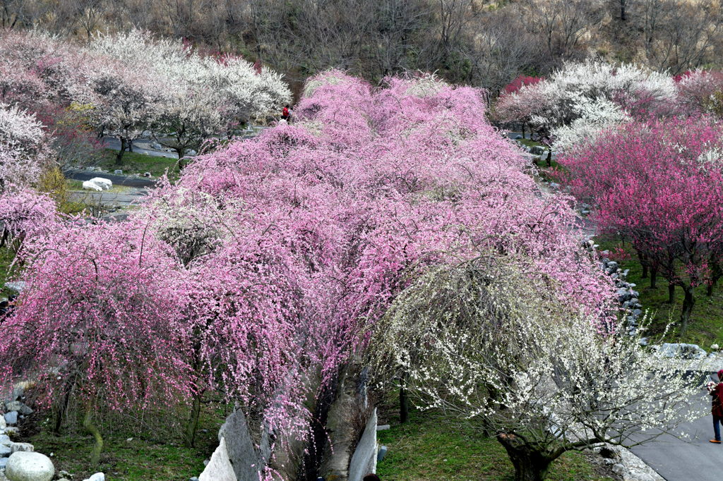 上から目線でごめんなさい