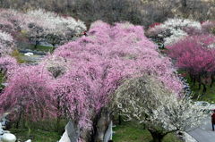 上から目線でごめんなさい