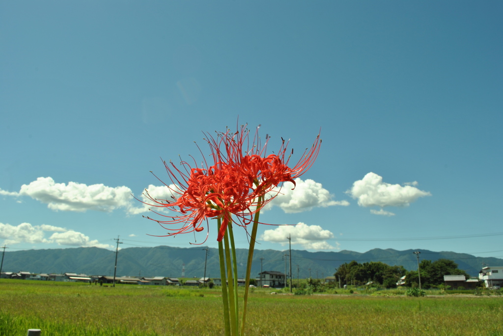 幸せを呼ぶ空