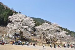 愛