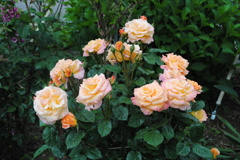 家族に囲まれて幸せ♪