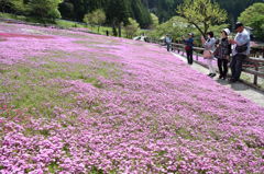 隣の芝は・・・