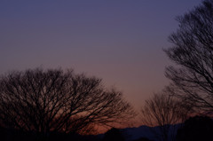 20130111の夕焼け