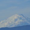 元旦の富士山