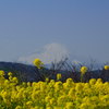 我妻山公園