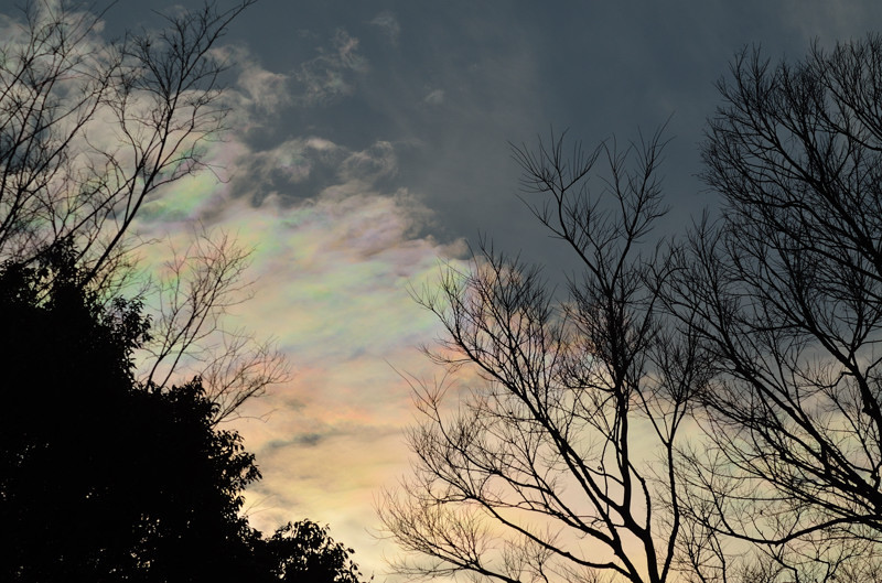 彩雲