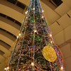 クイーンズスクエアのクリスマスツリー