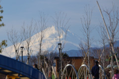 元旦の富士山