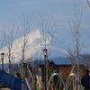 元旦の富士山