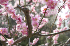Spring has come!! 3
