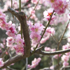 Spring has come!! 3
