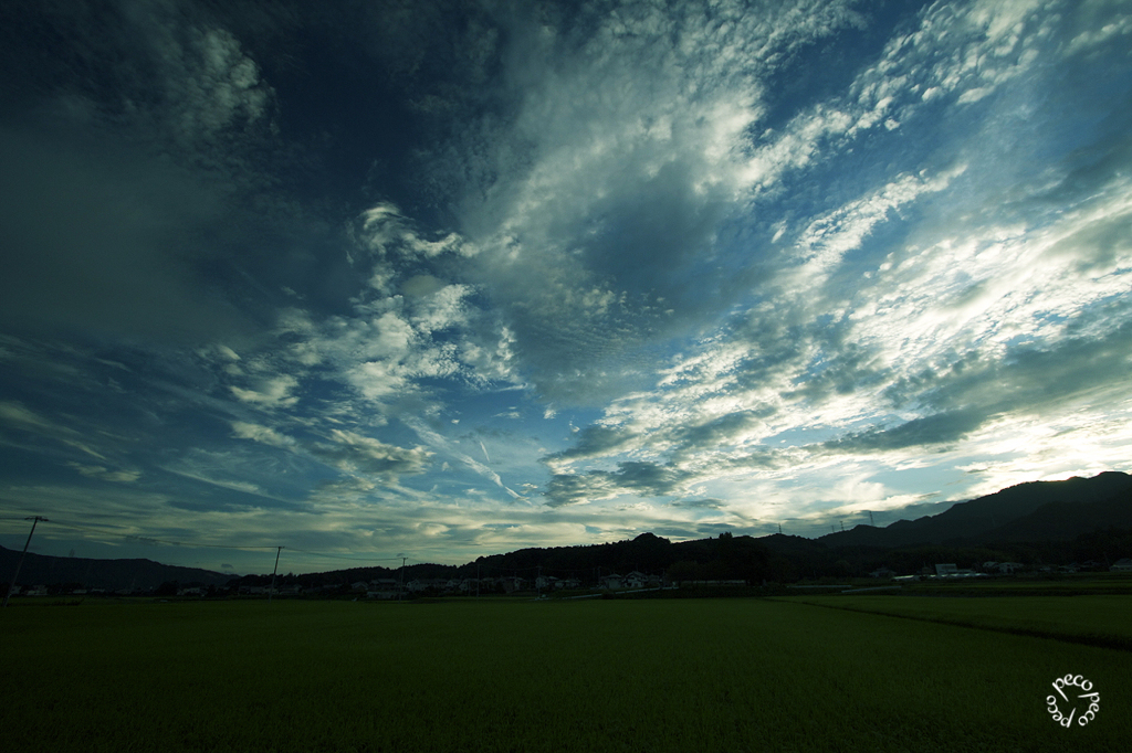 old photo 〜夏が恋しくて〜 2
