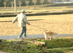 待ってくれ～！