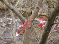 西粟倉村
