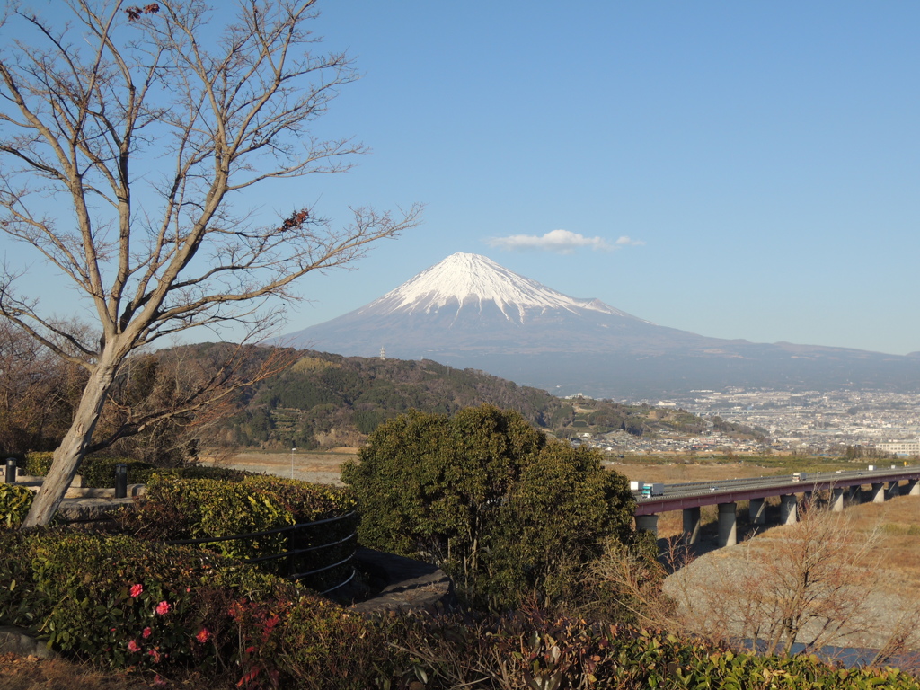 富士川SAからの富士山