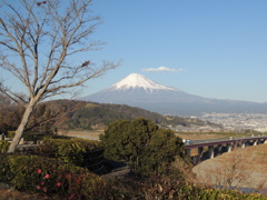 富士川SAからの富士山