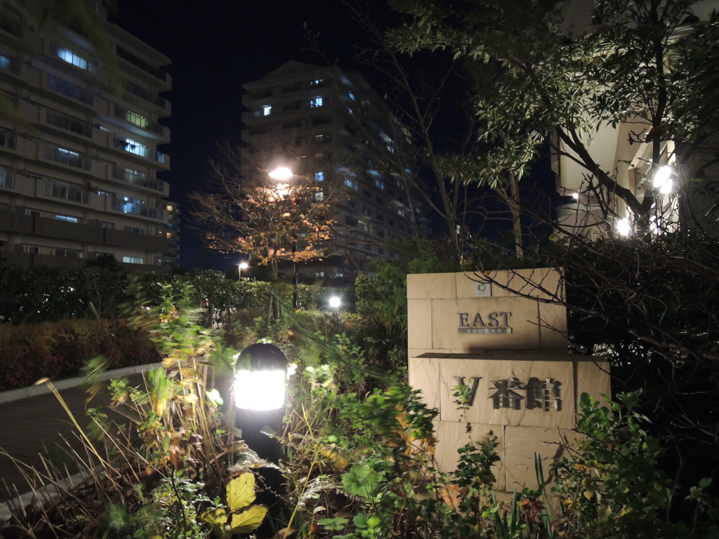夜の住宅街