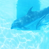 やさしさに包まれて・・・