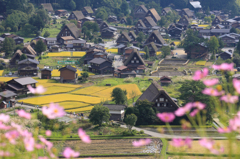秋の装い