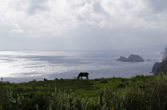 夢心地