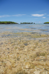 美ら海