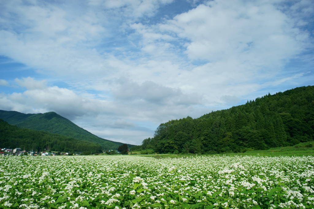 つかの間の晴れ間