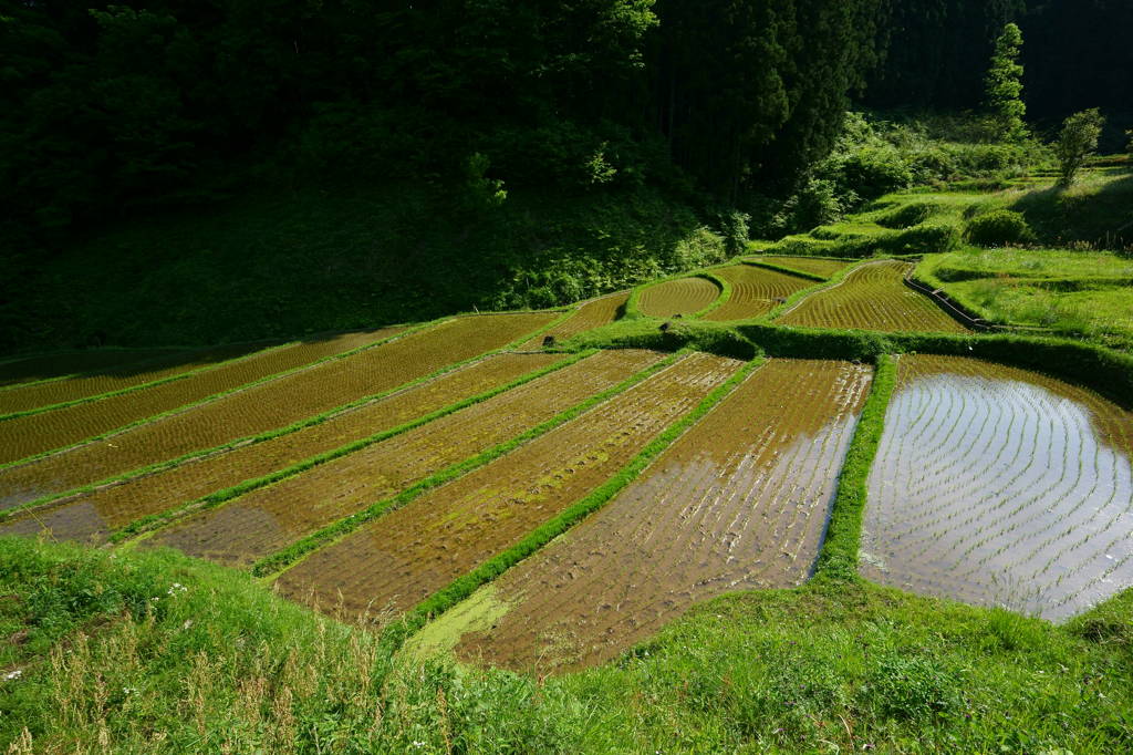 里山Ⅱ