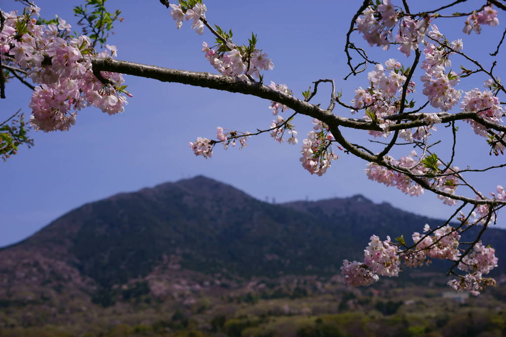 春の筑波野