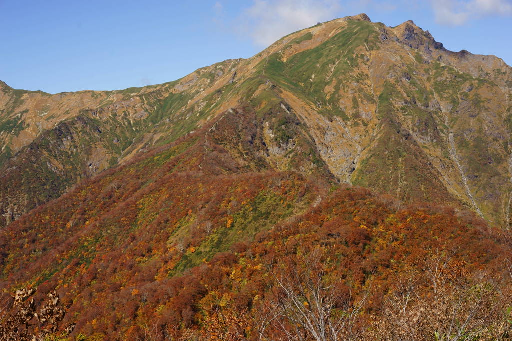 谷川岳