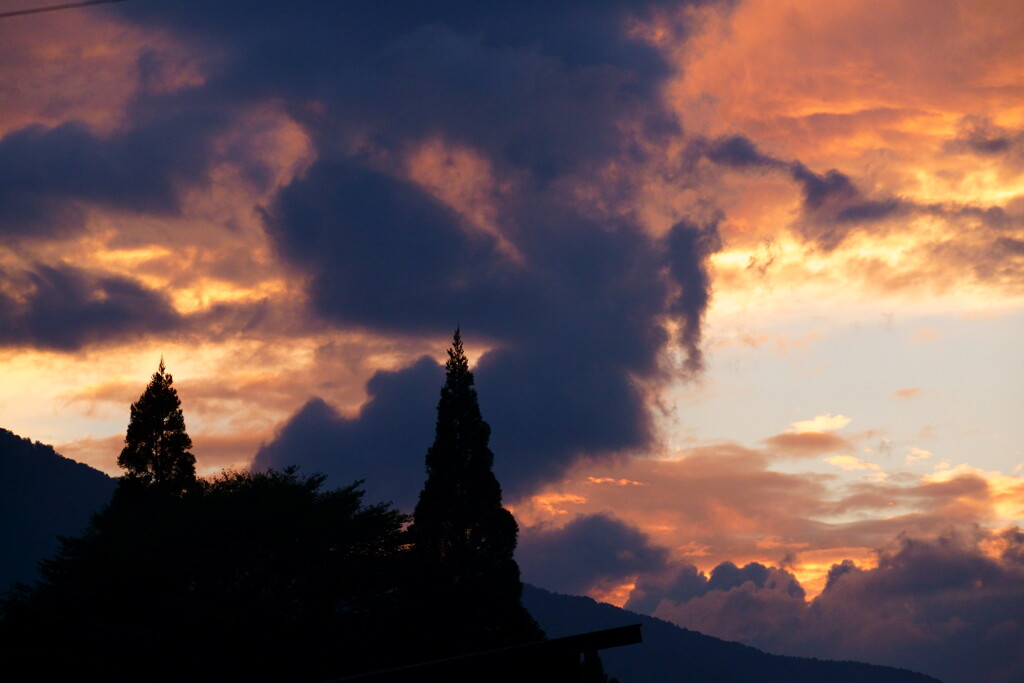 トトロの頭越しの夕焼け