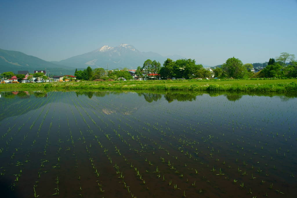 田植後の美観