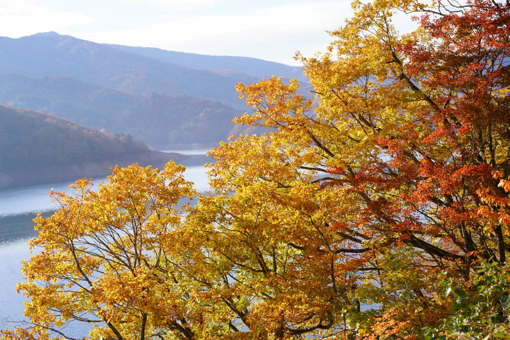 紅葉湖を覆う