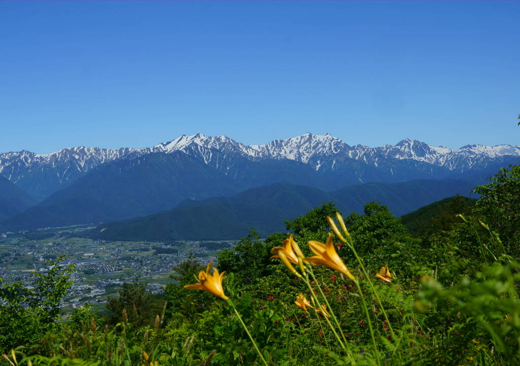 主役に花を添える。