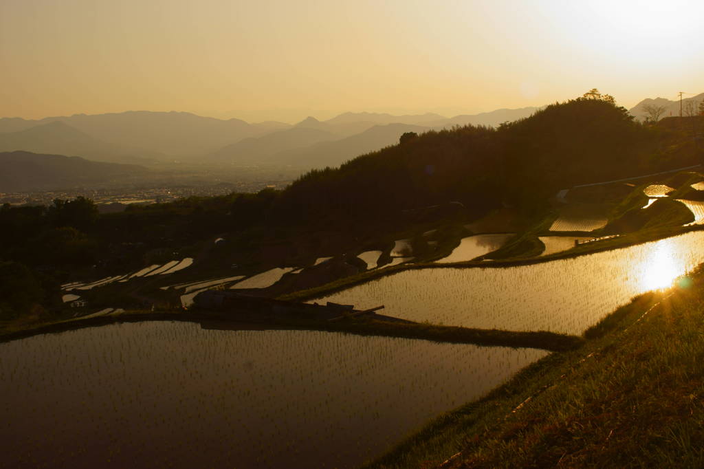 春の田園風景最終章Ⅰ