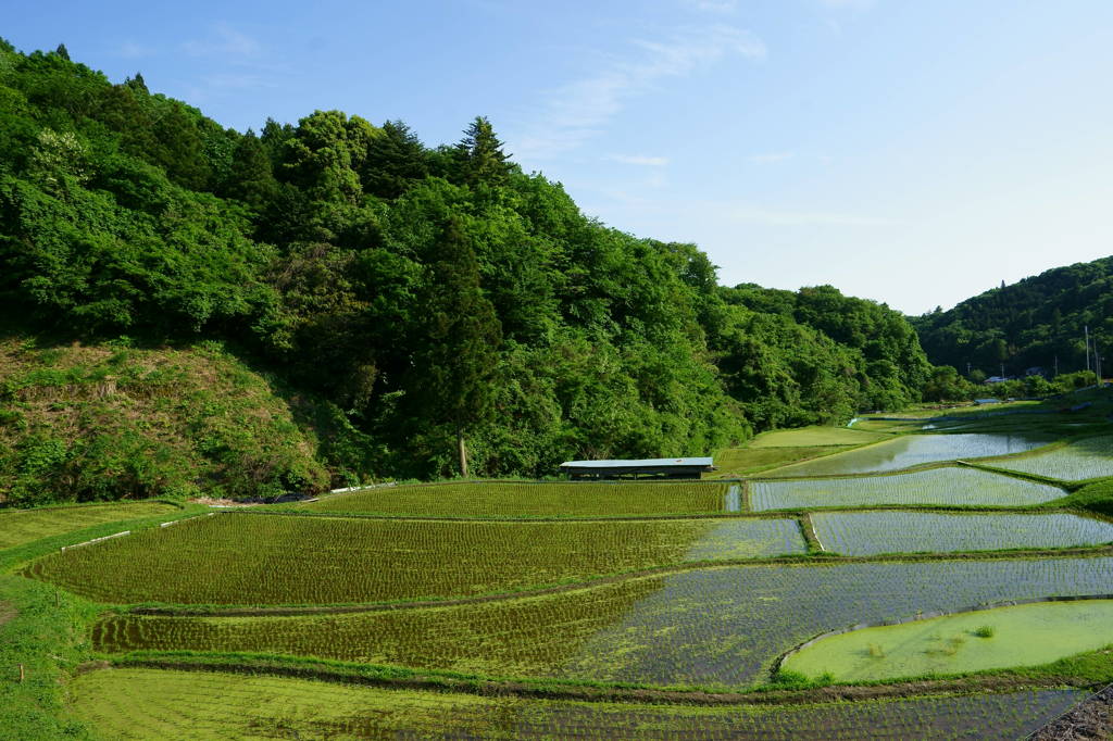 里山Ⅲ