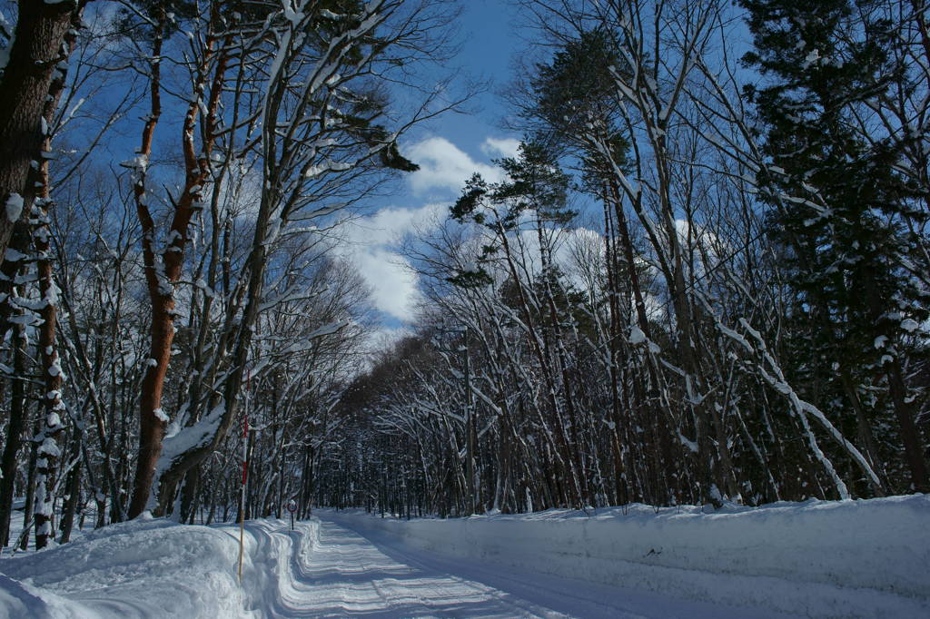 雪の坂道