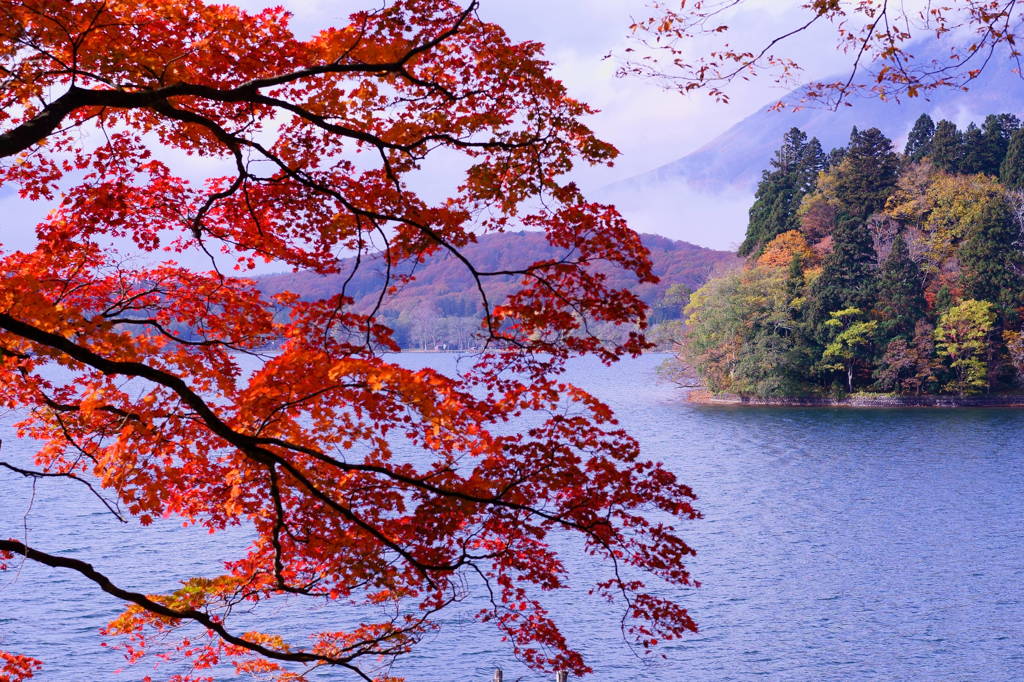 湖畔の紅葉２０１４