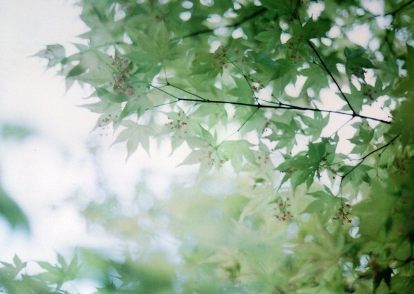 未熟
