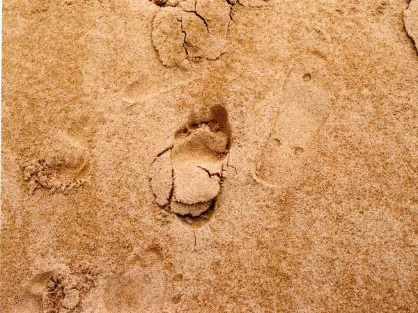 Footprint